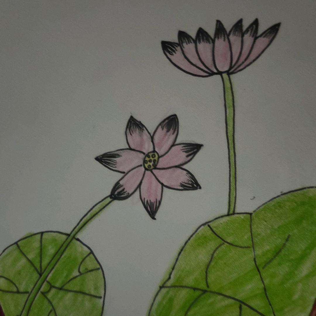 我的未来不是梦