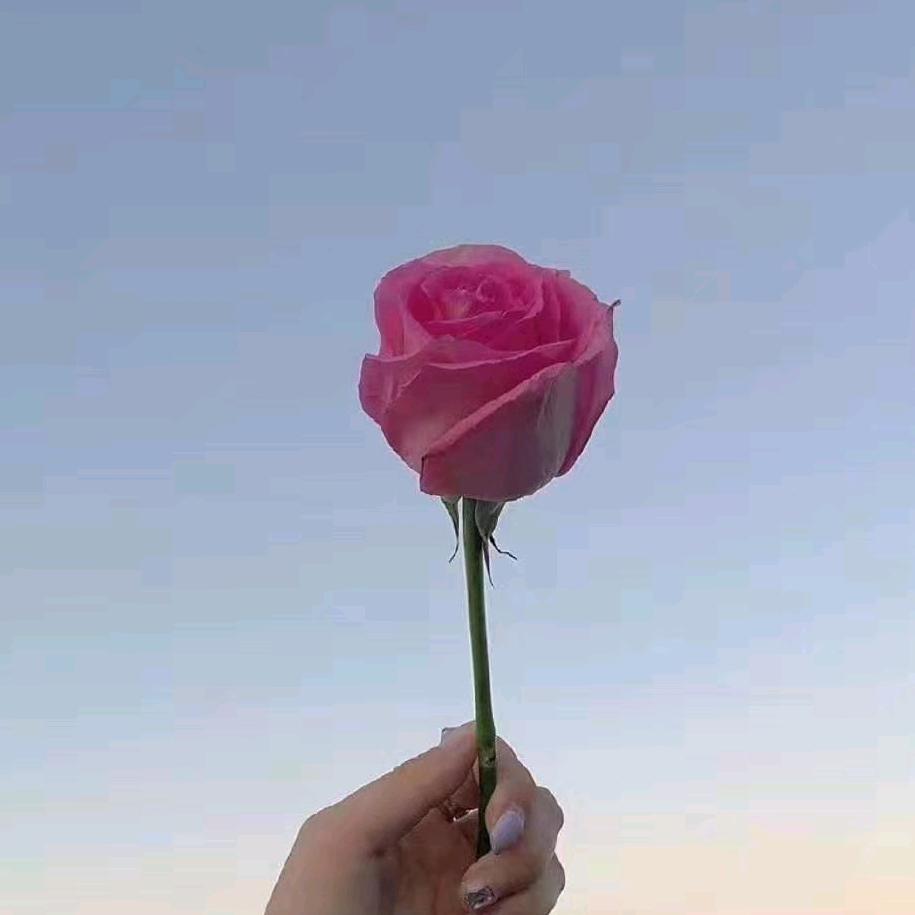 ✌(̿▀̿ ̿Ĺ̯̿̿▀̿ ̿)✌