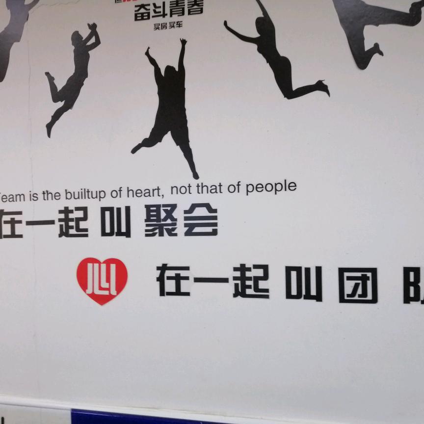 蝈蝈85