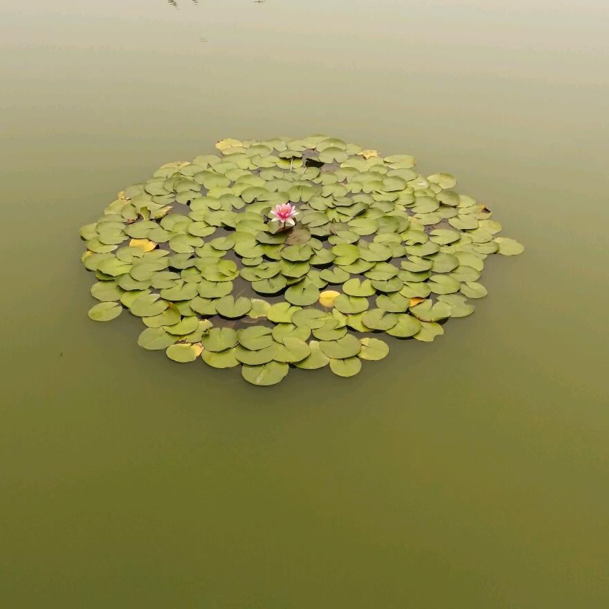 一生有你