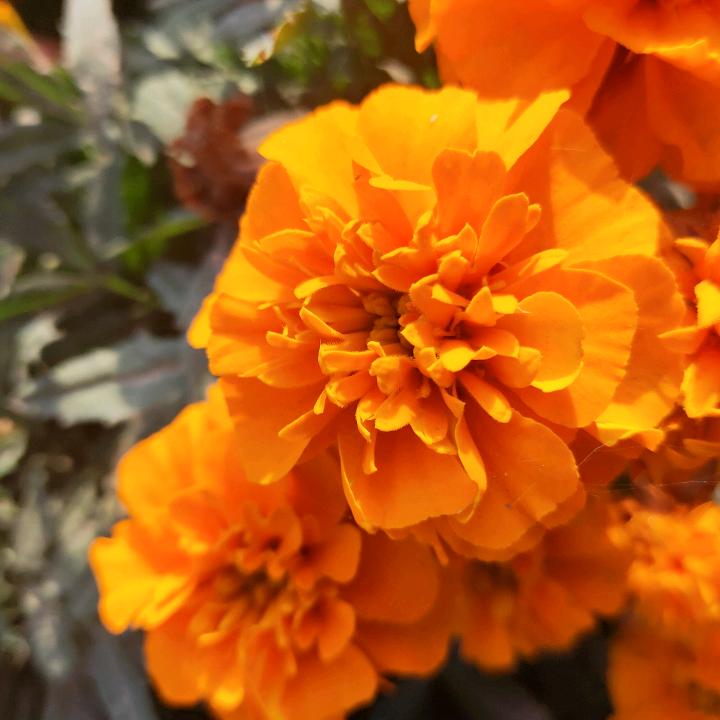 莱米女装折扣店