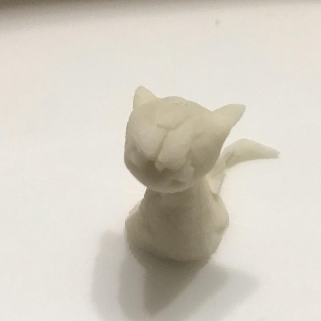 猫咪猫咪大人