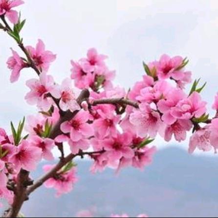 幸福家庭，，，