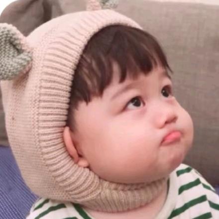 探网小胡总