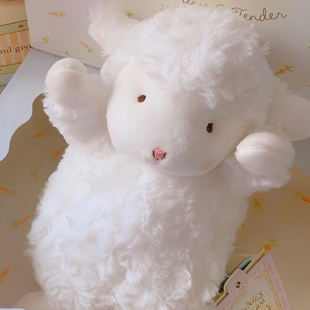 熙宝💕
