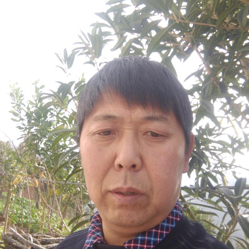 贺益平
