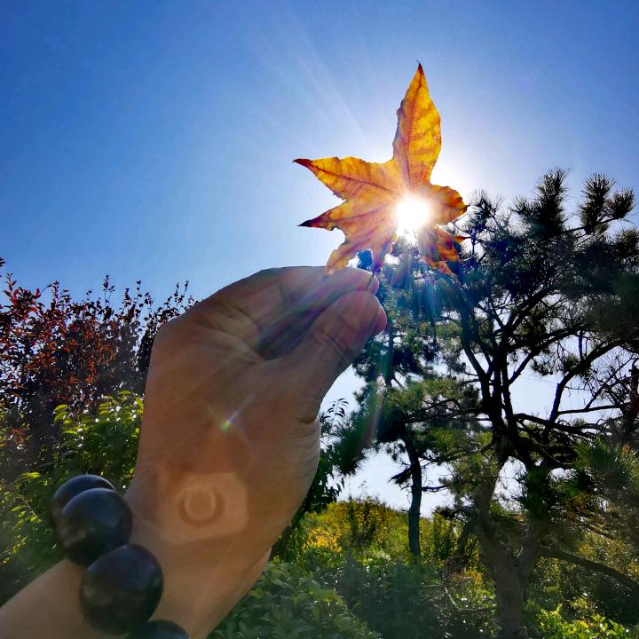 拍着玩，记录生活。（限评中~）