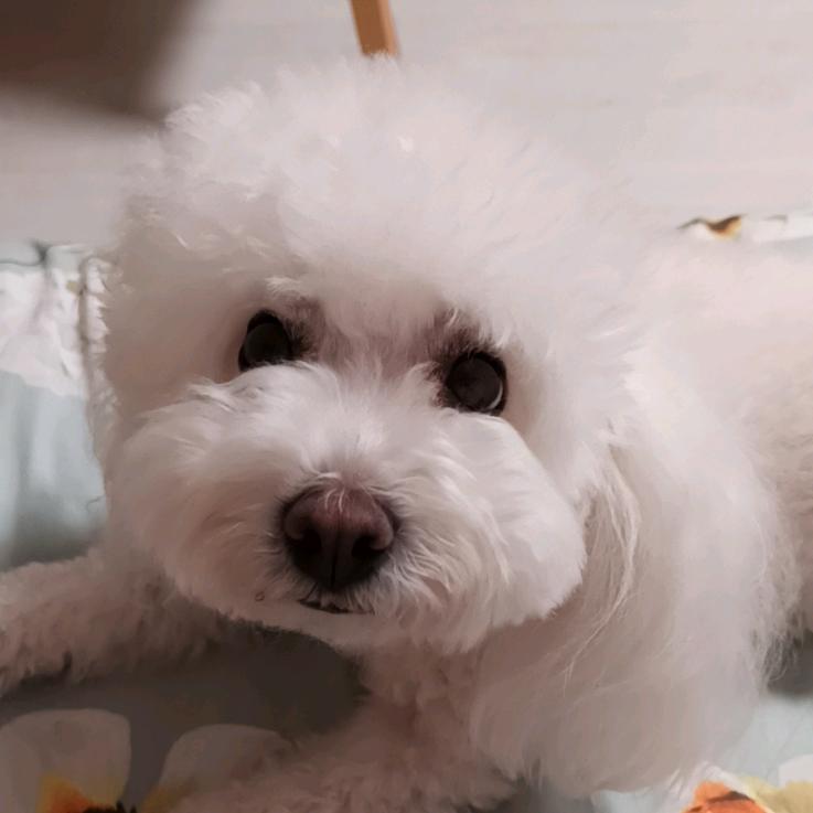 端小午
