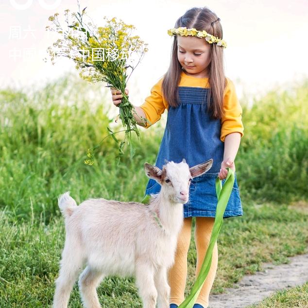 🎋照在前方🌾