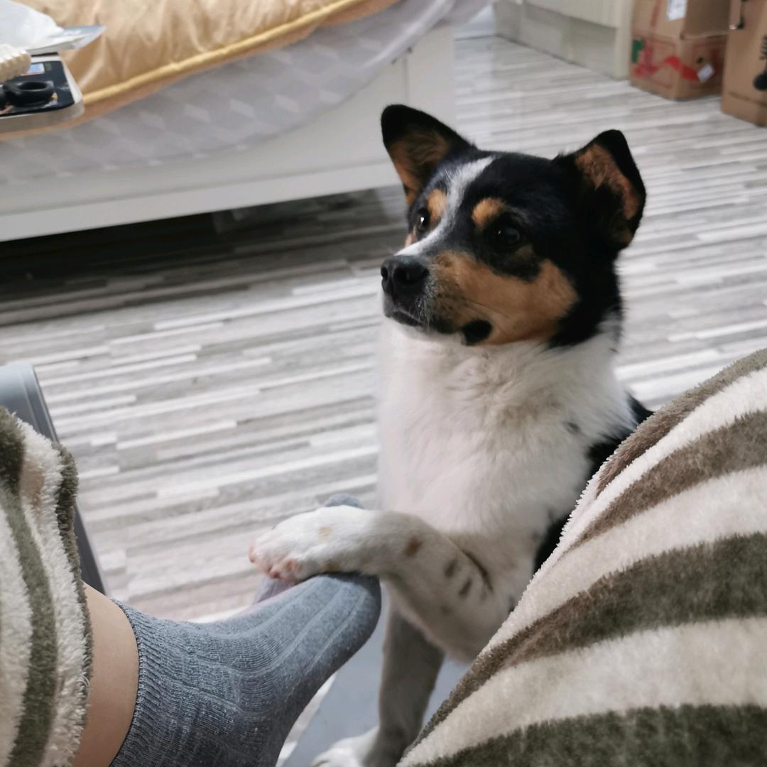 别看我只是一只杨女士