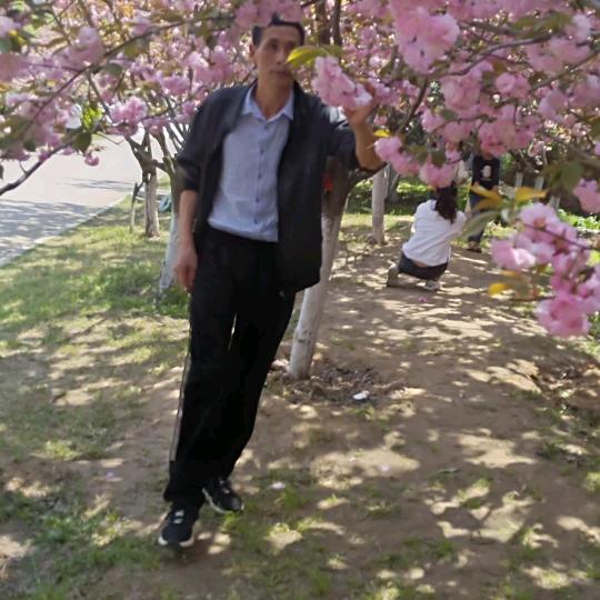 今生有你足够