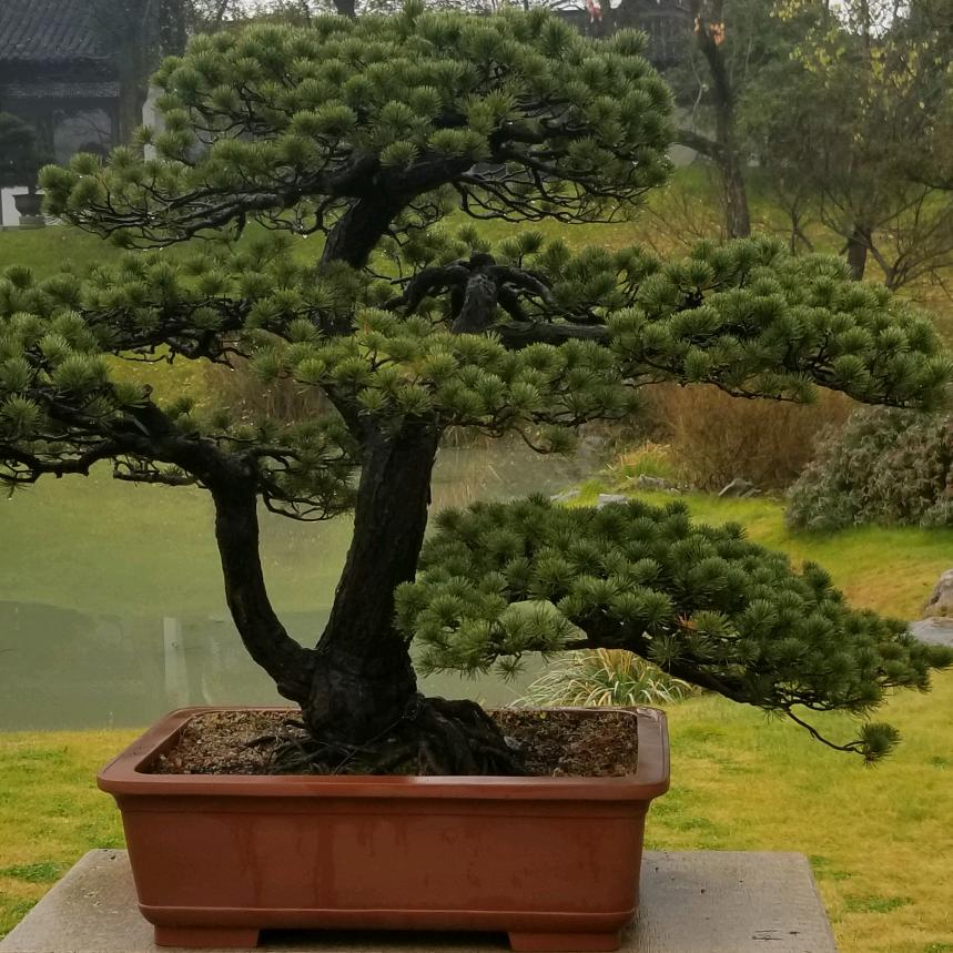 真诚