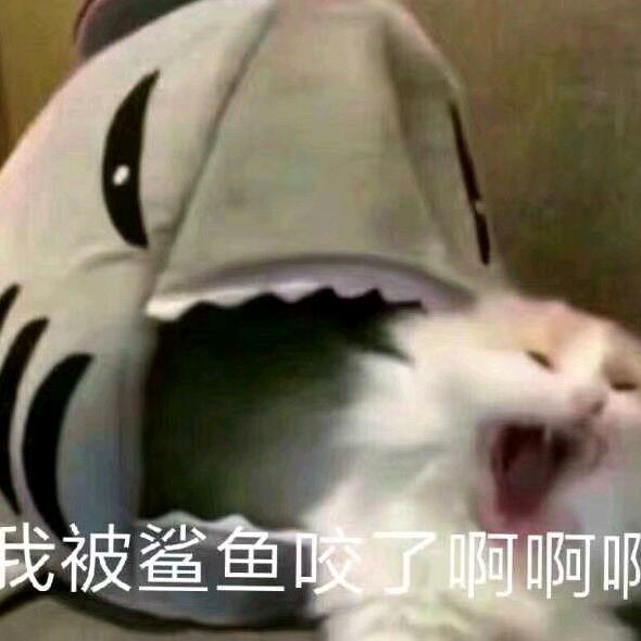 浩崽的快乐星球