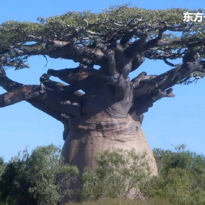 春夏秋冬
