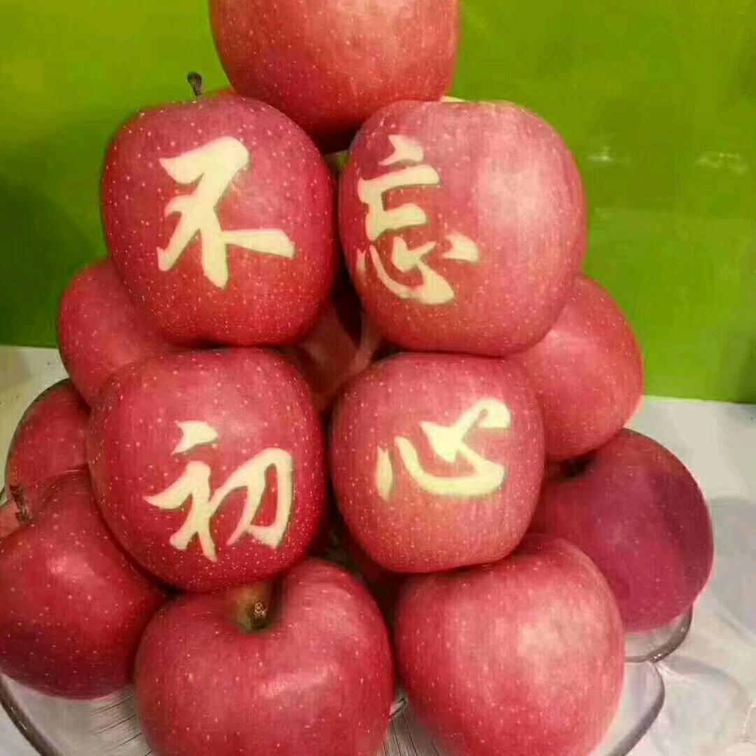 优益丰农业（连赞拉黑）