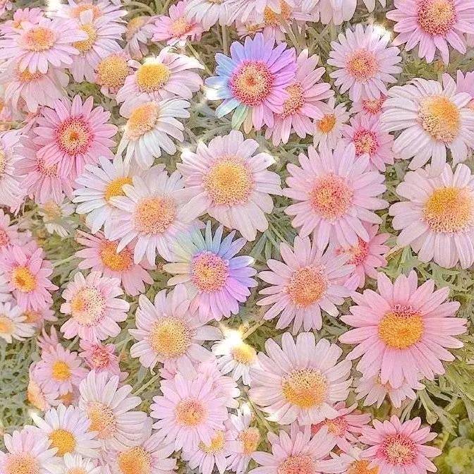 开心就好 ！！！