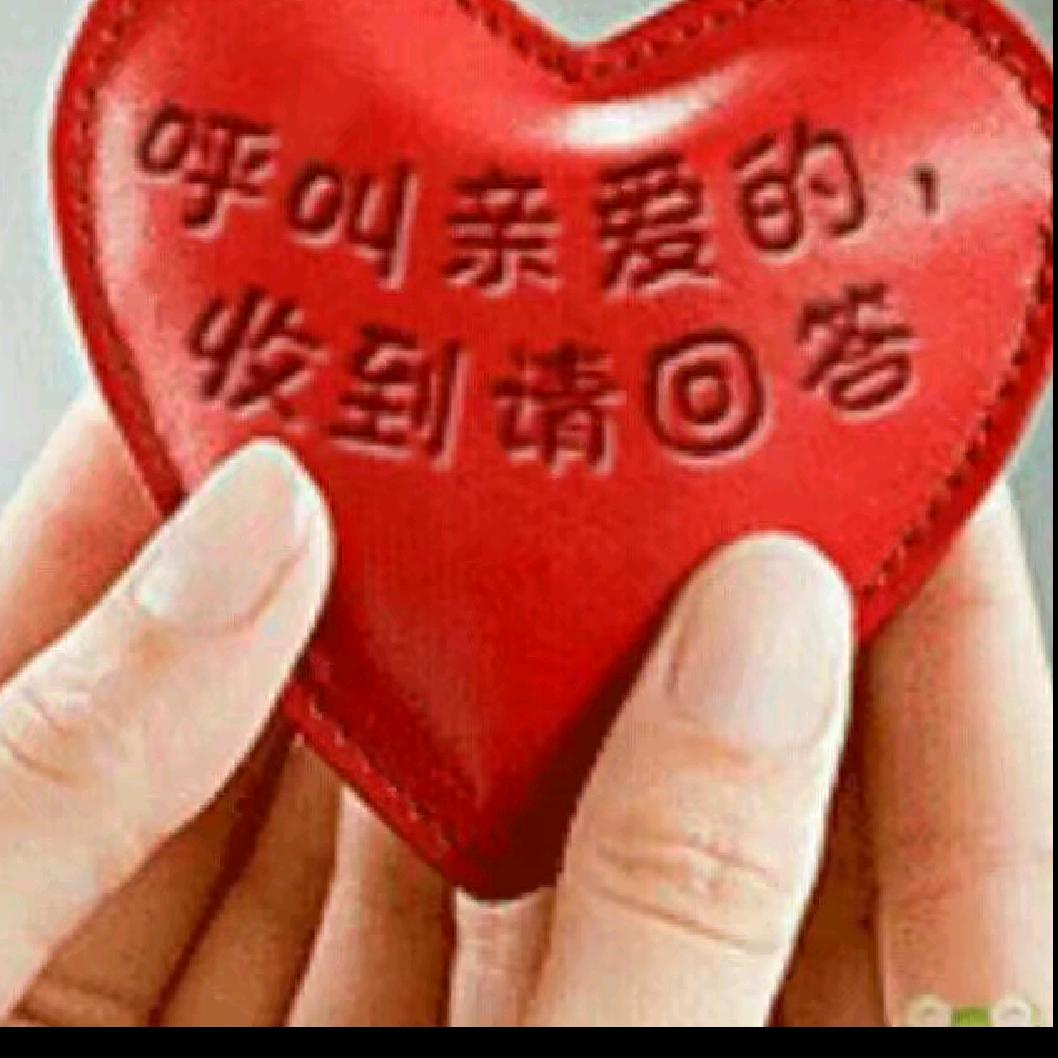 豫E乐乐
