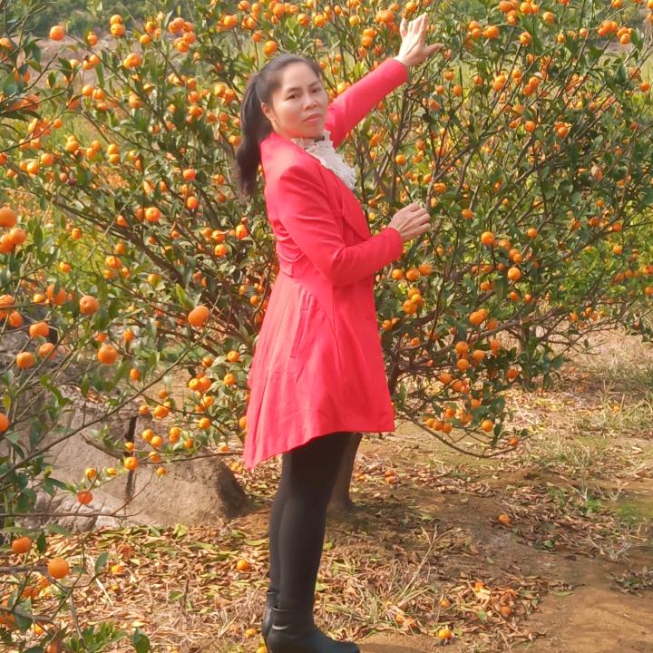 陪伴是最长情的告白（73牛姓名陆莹:)