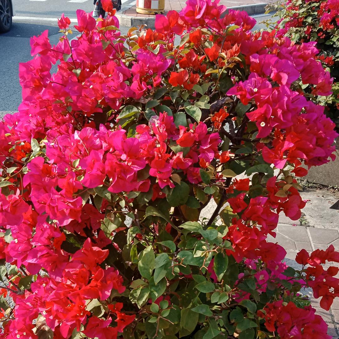 用户1074824097605往前走啊？