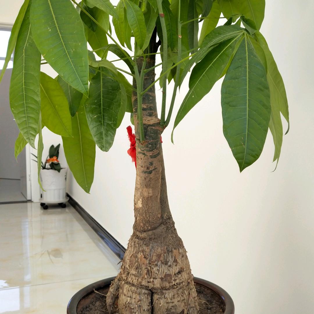 携手共进
