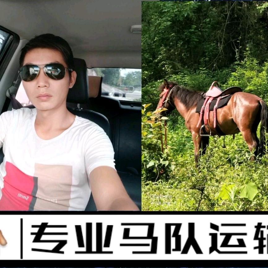 马背上的小哥哥