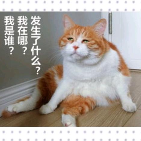 扬扬