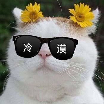 王哪跑@🏃‍♀️