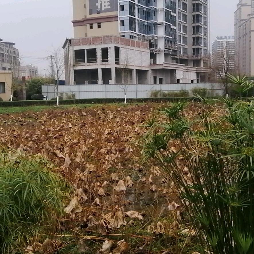 东南西北