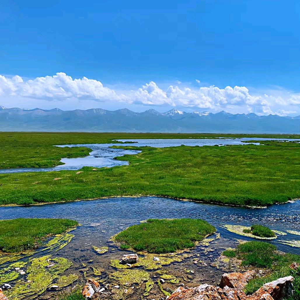 胡杨（硕丰农资）
