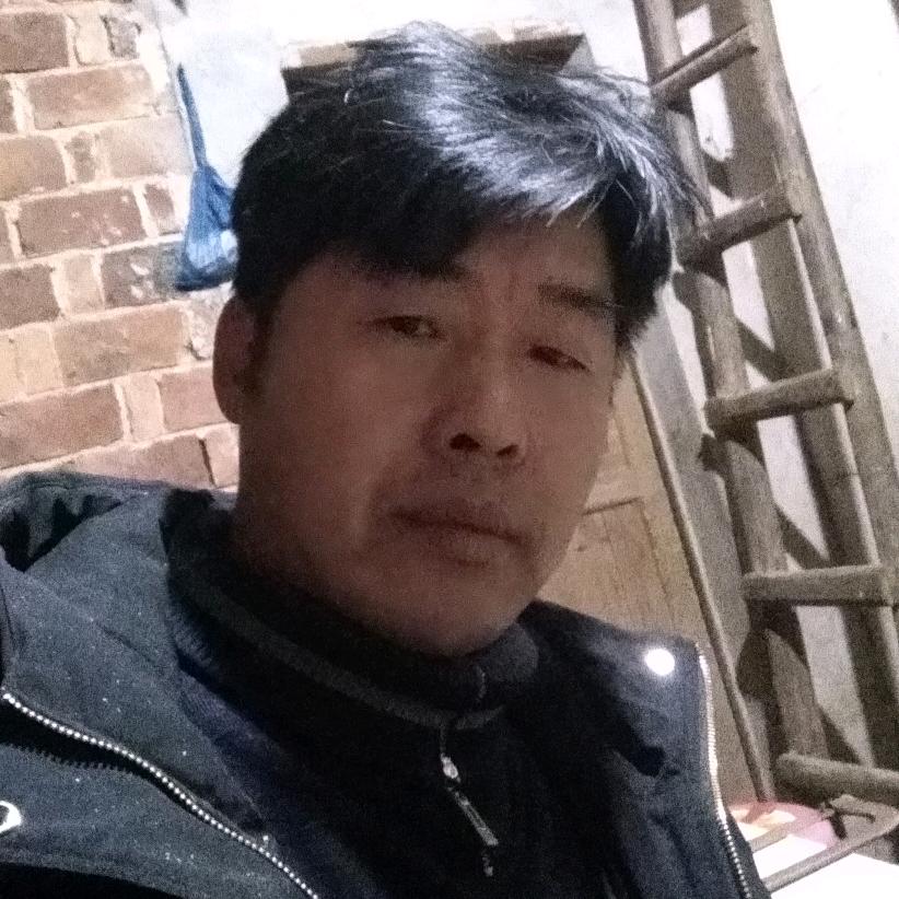 毛佗