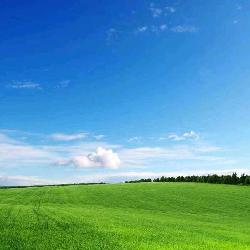 艺霖（关注必回）