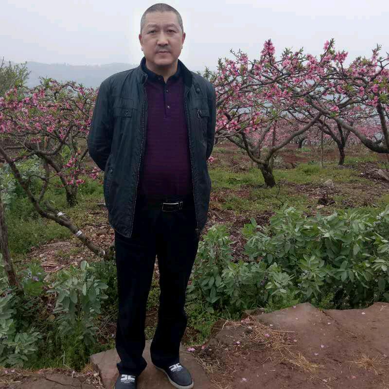 成哥