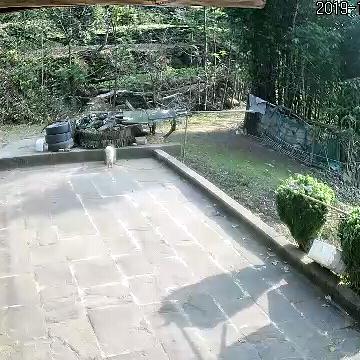 熊🐻大☞☞《爱你！》