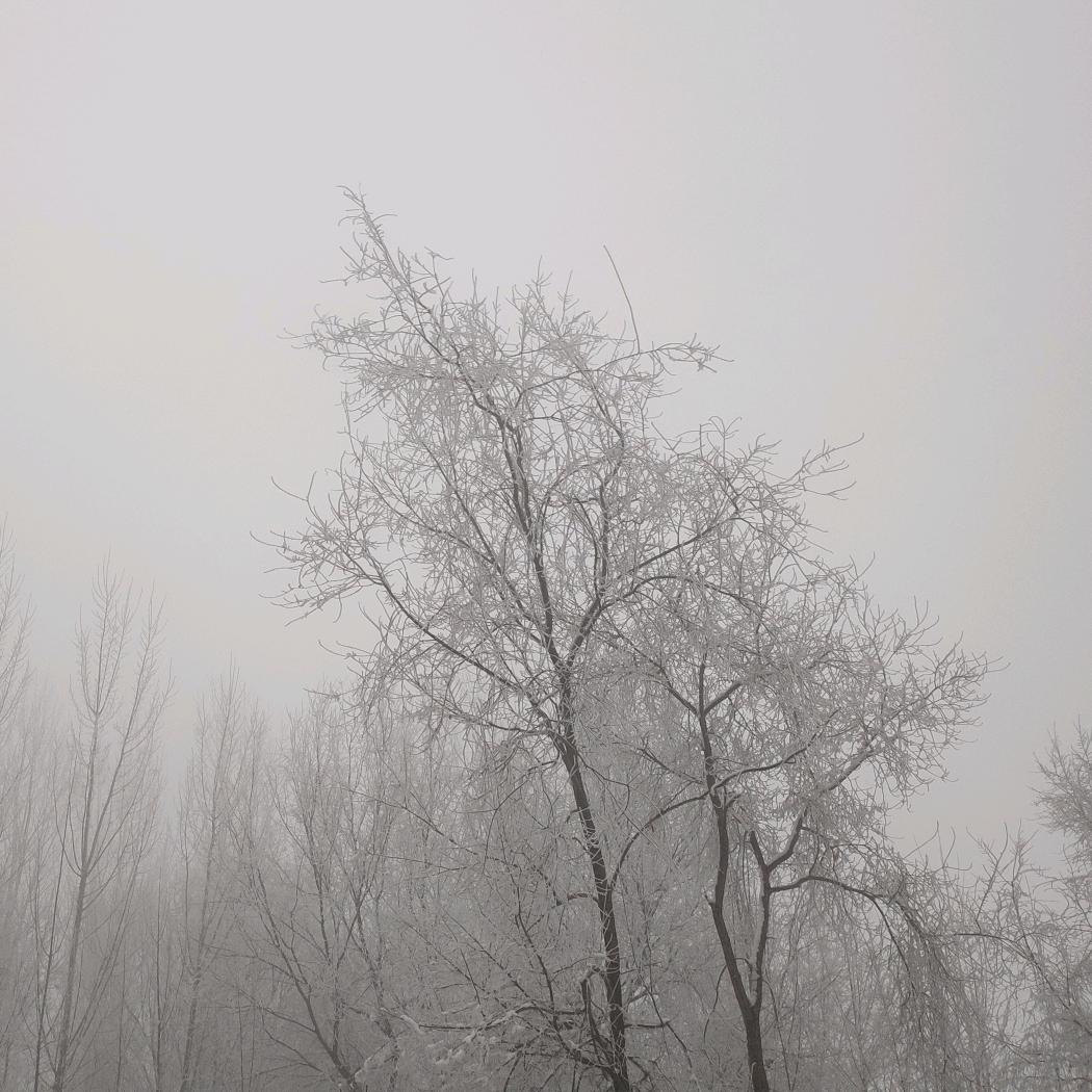 大力水手吃菠菜