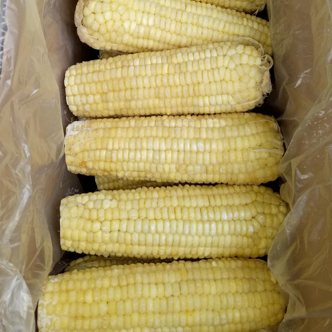 所所～（甜糯玉米户外K歌）