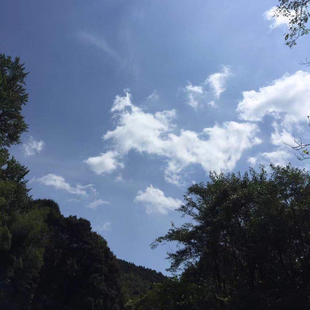 石盘村书记助农