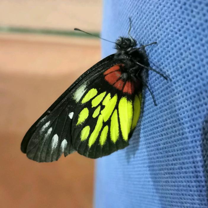 你的三观，我很喜欢！