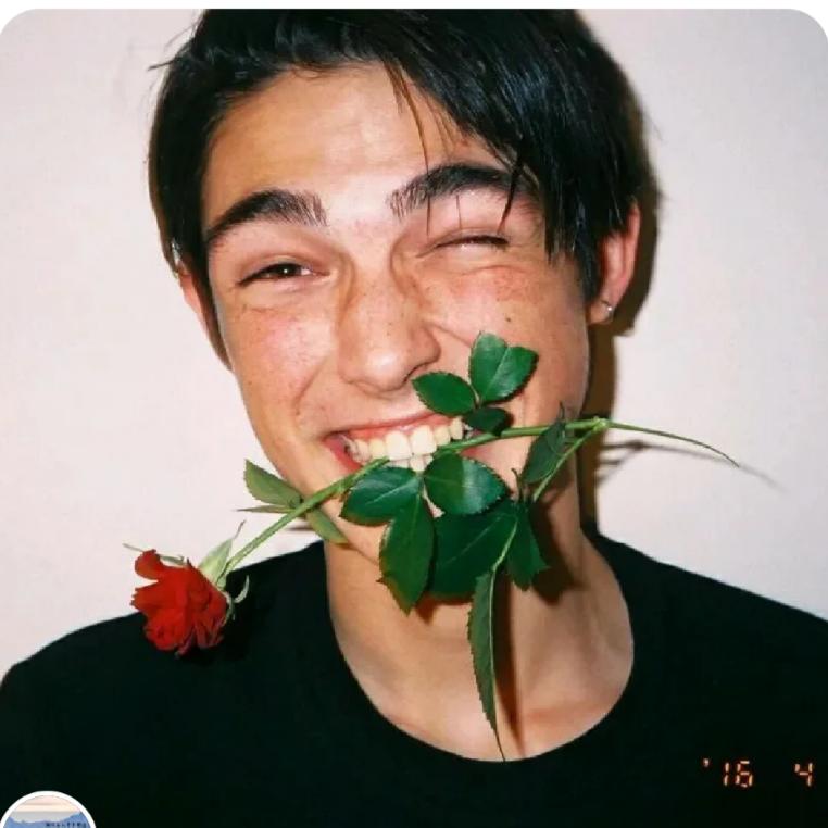 阿双锅锅