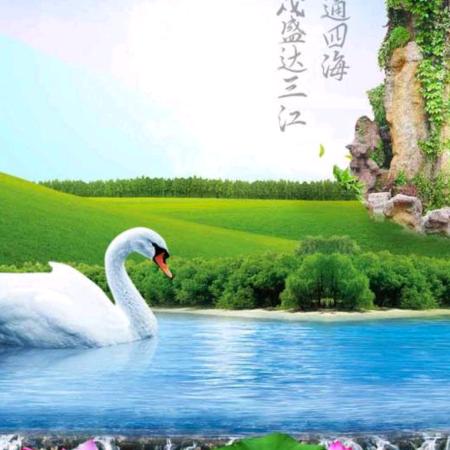 彩虹姐姐