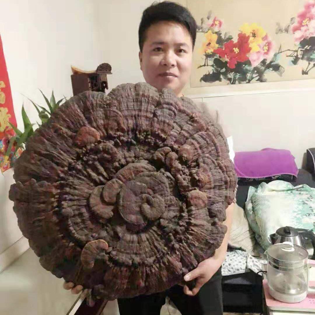 永兴广顺环保科技经营部.