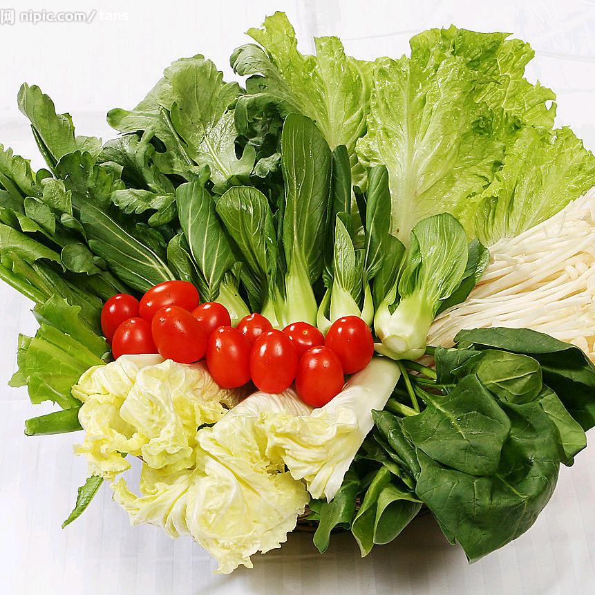 有机蔬菜