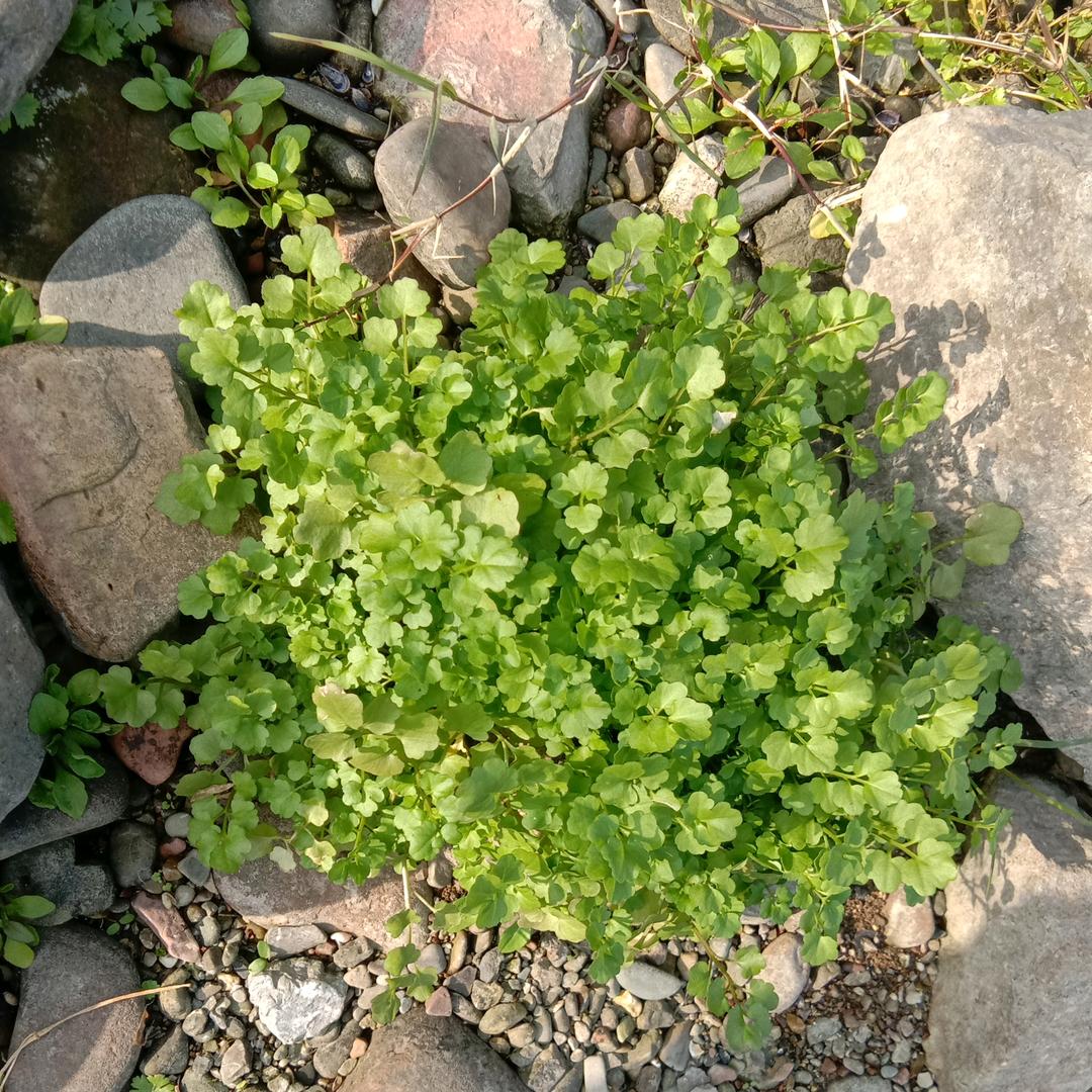 万水千山（万重山）
