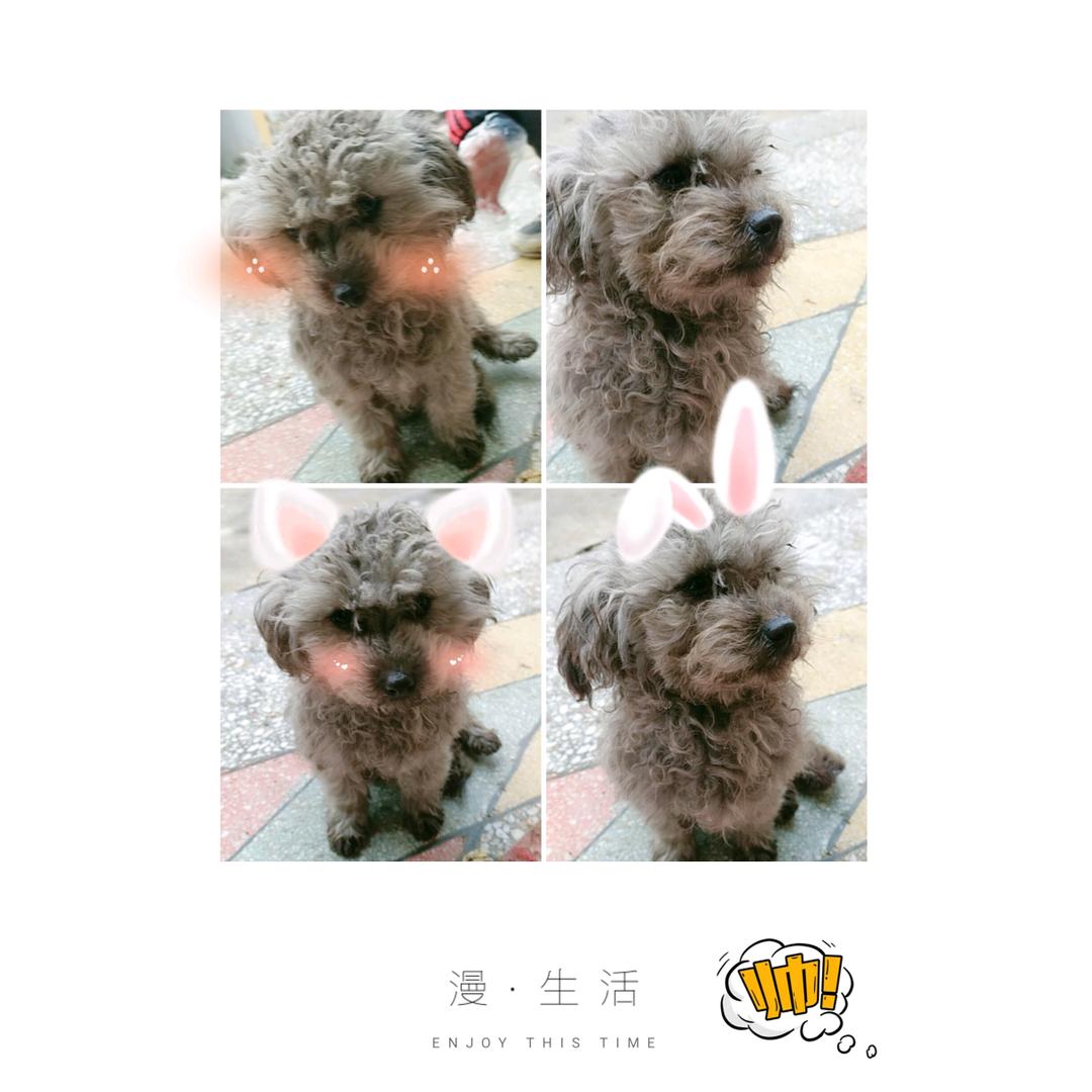 明天你好~^0^