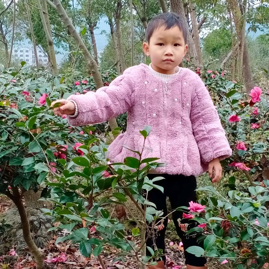 月光下的你
