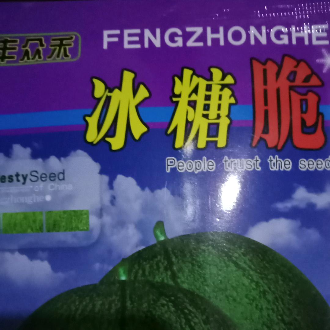 老张