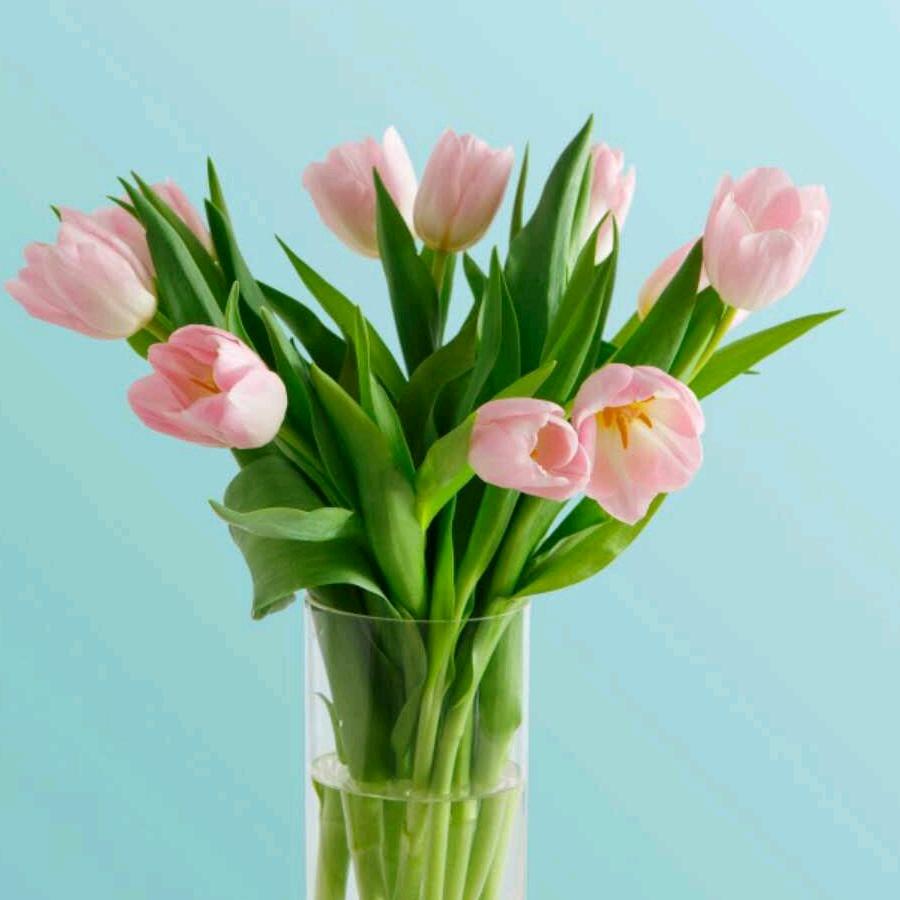 ⊙ω⊙一帘幽梦