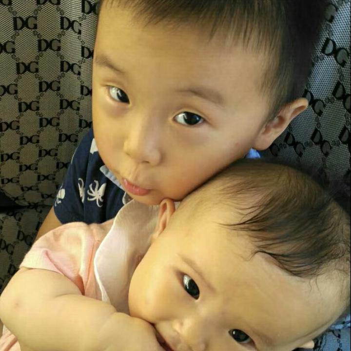 家有四宝一二三