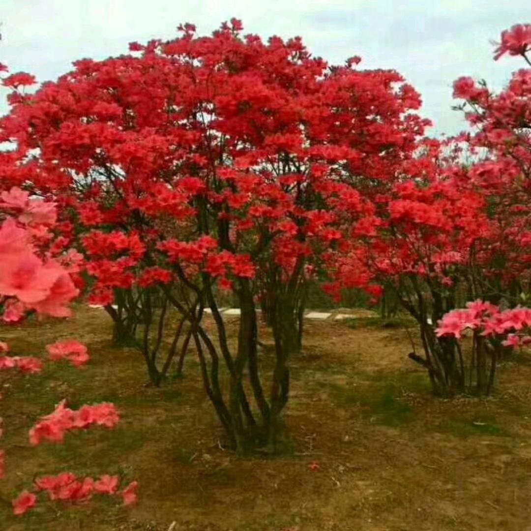 泥朦山生态农场