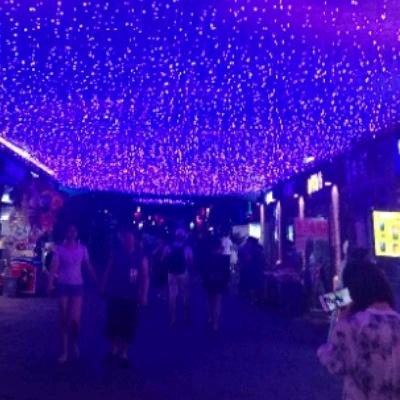 风来松涛鸣