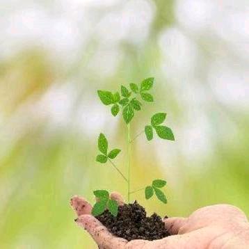 友谊港湾巨野兰歌洗化